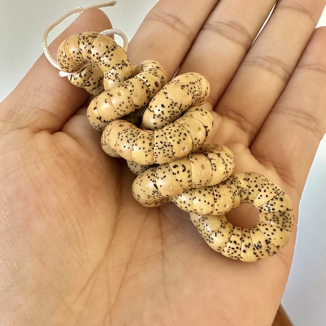 猪大肠星月菩提子老籽约8mm-52