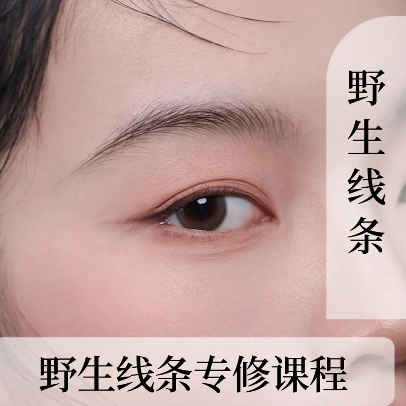 野生线条课程特训班