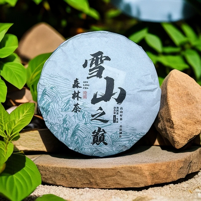 【雪山之巅-森林茶-2024年古树春茶普洱茶生茶】