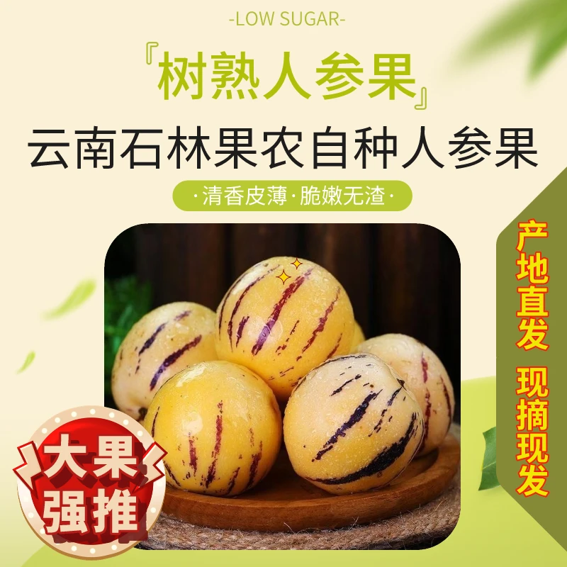 【云南石林人参果】新鲜皮薄多汁甄选低糖营养人参果成熟爆汁有果香