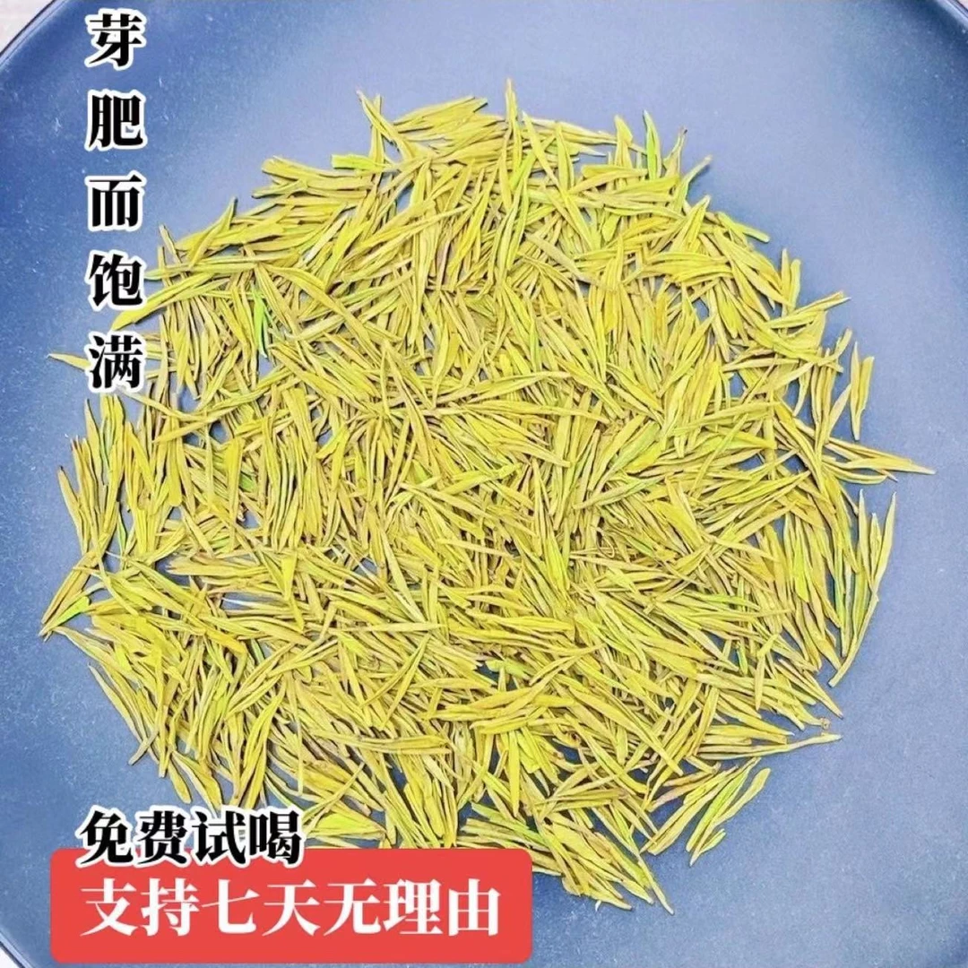 【杨三茗F50款】 25年新茶 安吉头采肥芽黄金芽 奶香花香