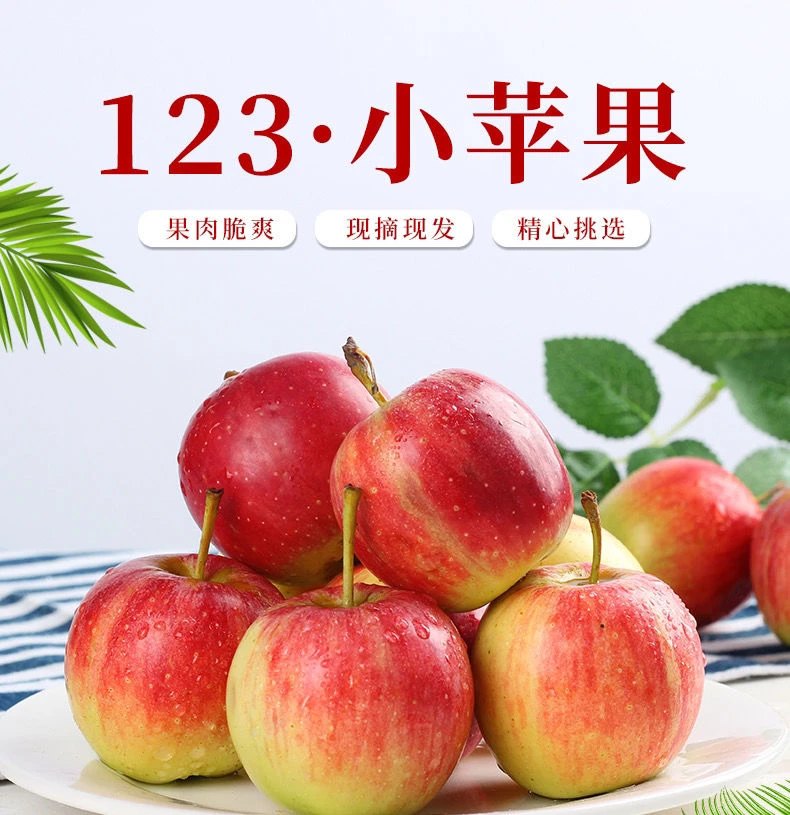 【新苹果】嘎啦苹果123小苹果新鲜脆甜当季脆甜水果孕妇整箱批发