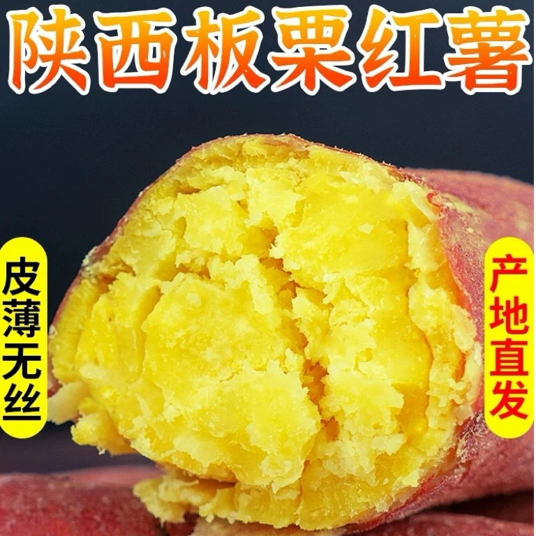 【坏果包赔】陕西正宗板栗红薯5斤/9斤包邮，干面粉甜