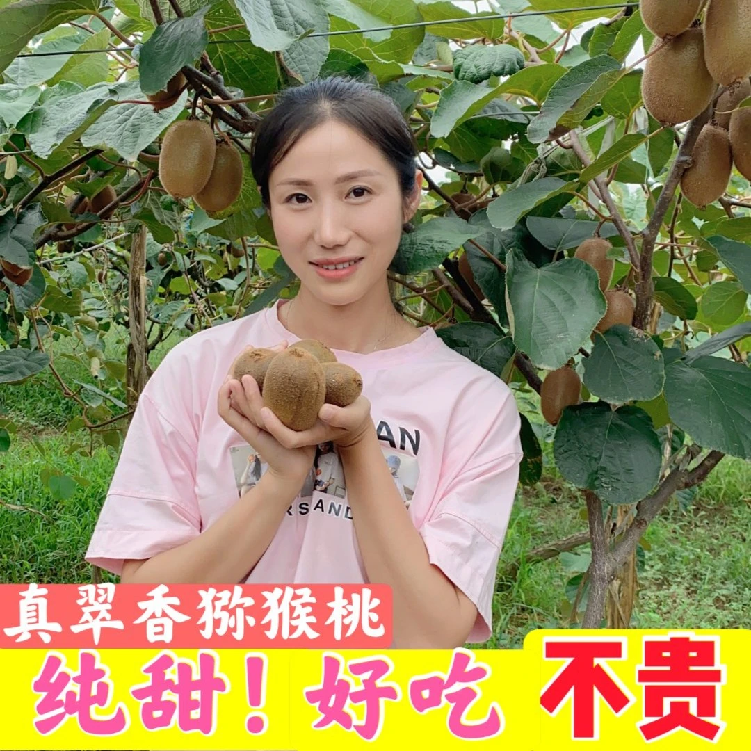 【坏果包赔】正宗陕西周至翠香猕猴桃新鲜应季净重4.5斤整箱包邮