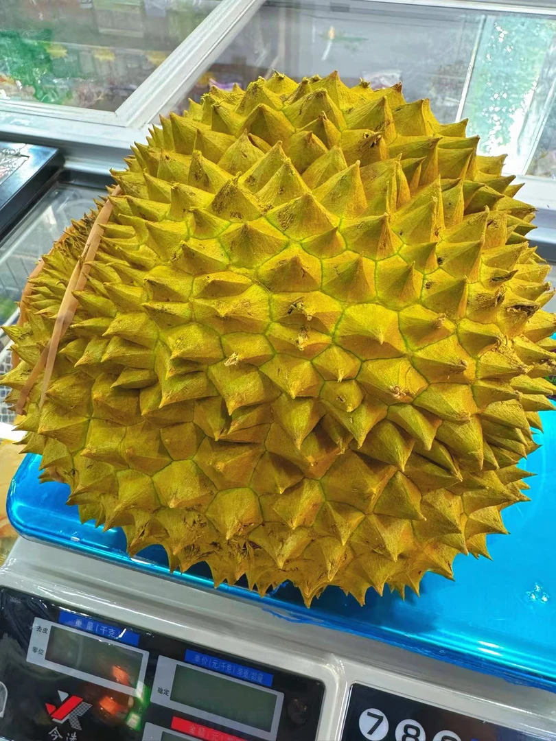 精选：干包大黄肉（已验）金枕榴莲