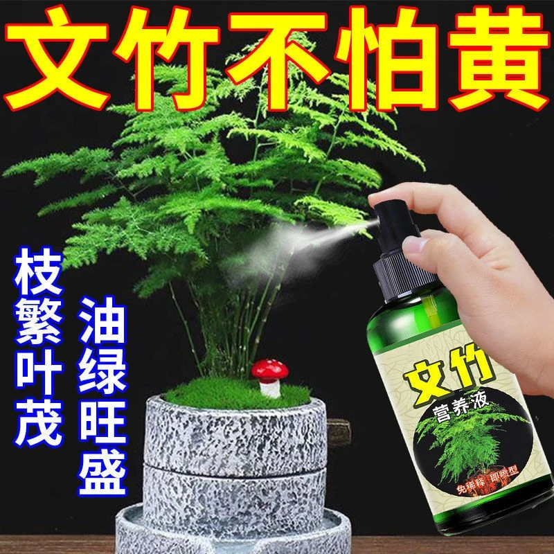 文竹一喷绿专用营养液治叶子发黄枯瘦烂根室内盆栽免稀释液体肥料