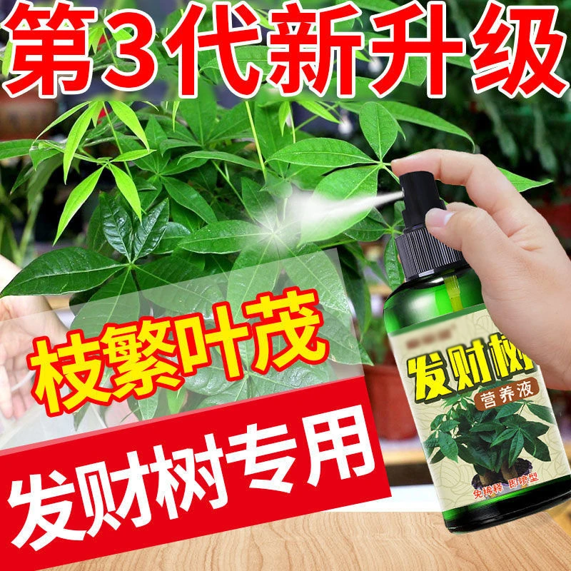 【1喷就绿】发财树专用营养液改善花卉绿植叶子发黄浓缩肥料通用