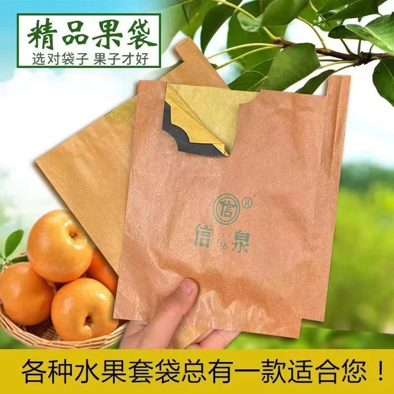 信泉秋月梨套袋专用果袋包金秋梨袋加厚圆黄梨大号晚秋黄梨双层袋
