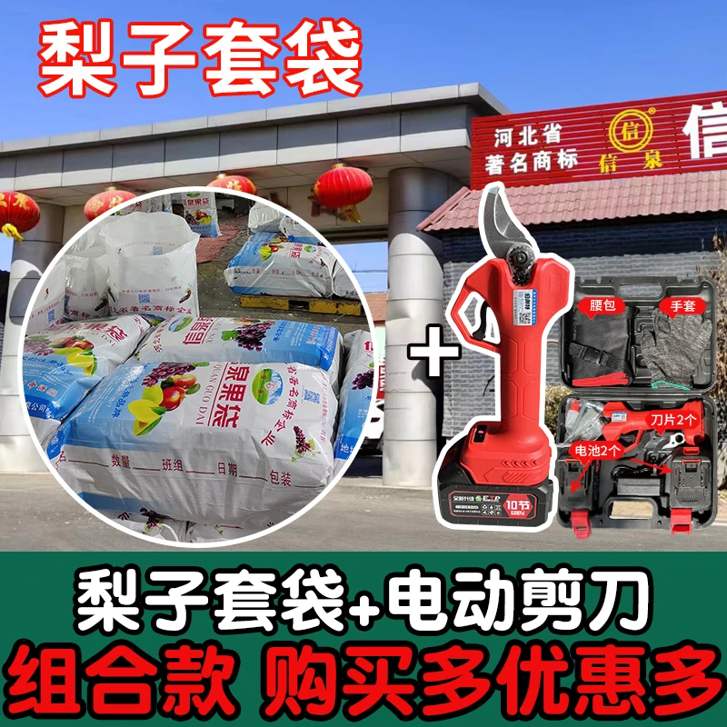 梨子套袋专用袋秋月晚秋梨套袋加大加厚双层套袋小梨套袋专用袋