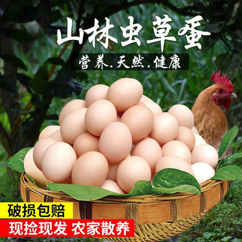 正宗农家散养虫草鸡蛋个大孕妇蛋土鸡蛋破损包赔现捡现发宝宝蛋