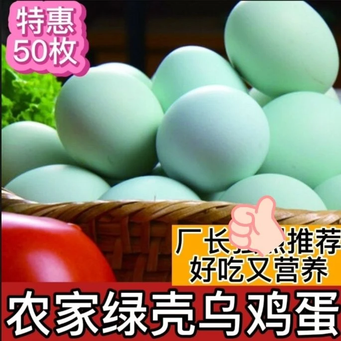 乌鸡蛋新鲜绿壳鸡蛋大个.散养土鸡蛋绿壳鸡蛋原生态鸡蛋整箱速发
