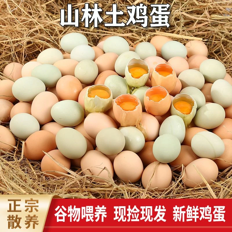 【50整箱】农家散养土鸡蛋正宗乌鸡蛋绿壳蛋混合装新鲜整箱破损赔