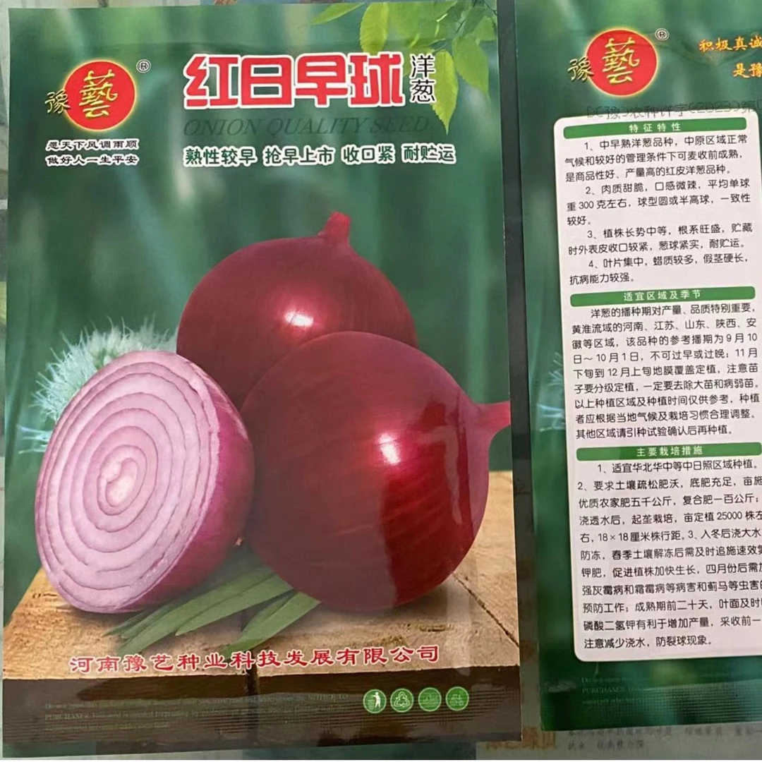 豫艺红日早球中早熟红皮洋葱种子 产量高，半圆球 50克/袋
