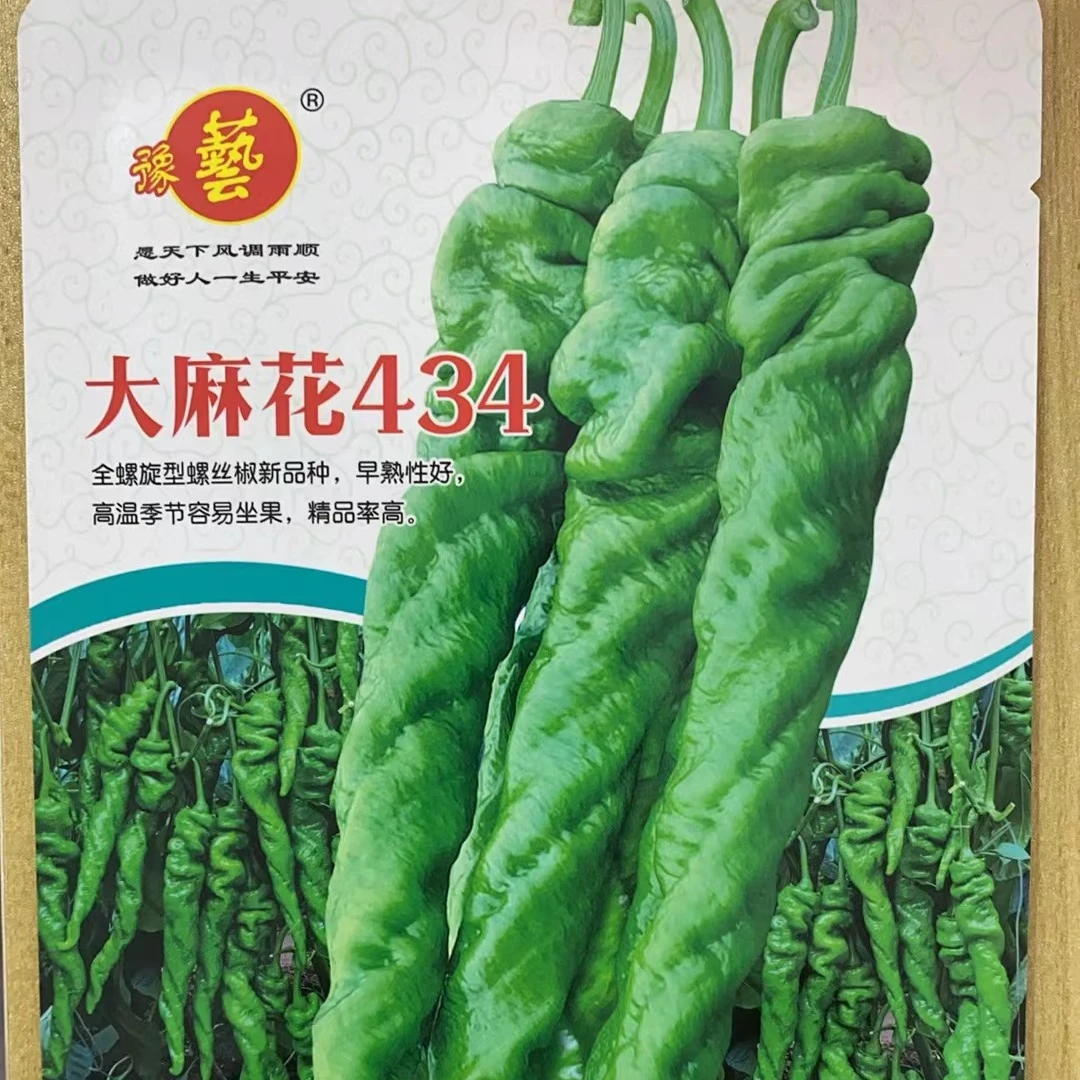 豫艺大麻花434大果全螺旋螺丝椒种子 更大更螺旋 500粒