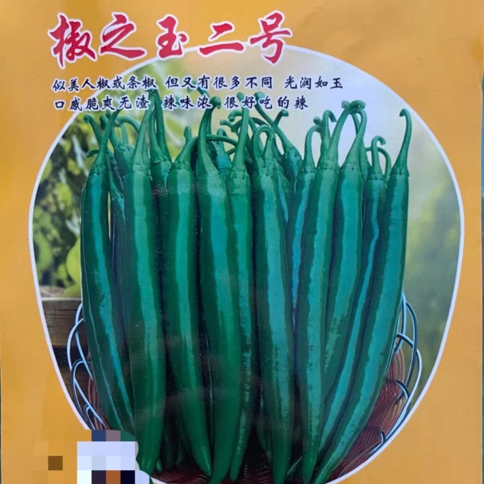 豫艺椒之玉二号辣椒种子 果形顺直光滑 高产辣椒种子 1000粒装