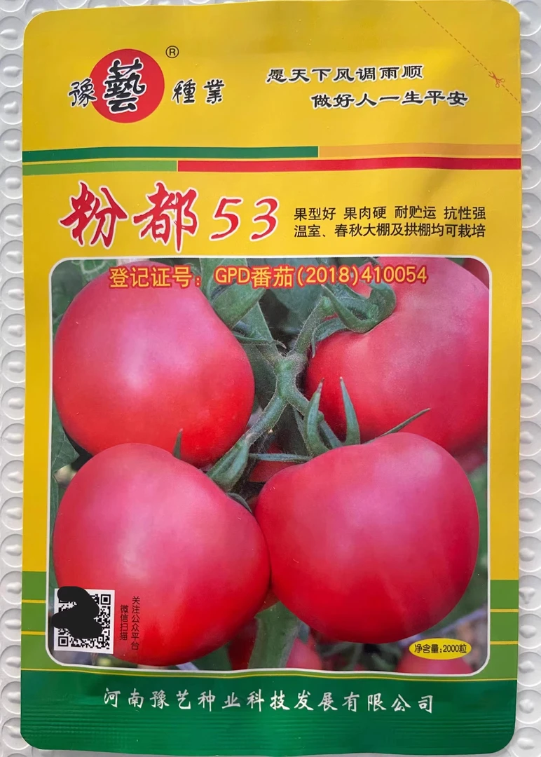 豫艺粉都53番茄种子 耐低温性好粉红果 早春大棚抗病好 2000粒/袋