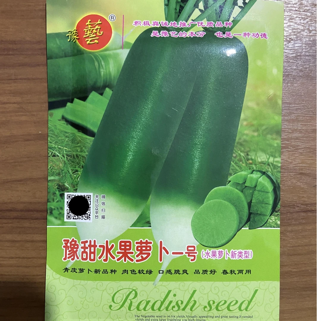 豫艺豫甜水果萝卜一号，绿肉水果萝卜种子 口感脆甜多汁 25g装
