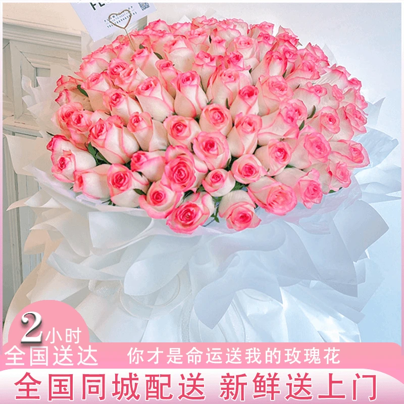 真花艾莎玫瑰花束女友表白生日礼物鲜花速递全国同城花店配送上门