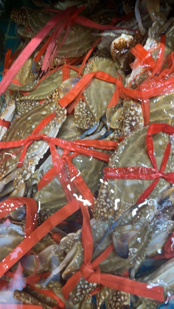 涛记海鲜单个梭子蟹