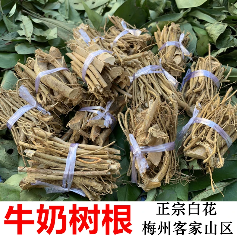 梅州野生白花牛奶树根 正品 牛奶根 牛乳根客家山药根煲汤料
