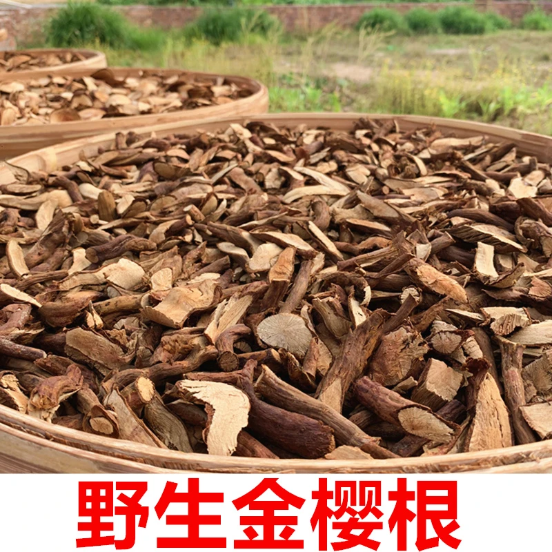 野生金樱根 纯根 金英子根金樱蔃金樱子根脱骨丹野生山药煲汤泡酒