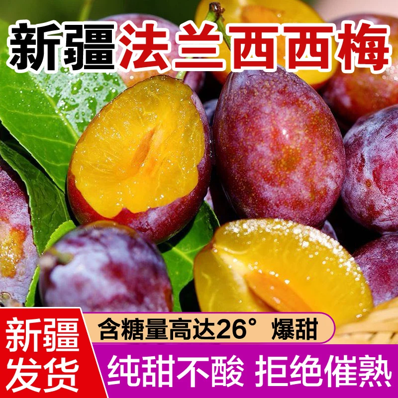 【顺丰空运】新疆西梅新鲜现摘现卖正宗西梅水果3/5斤特大果甜爆了