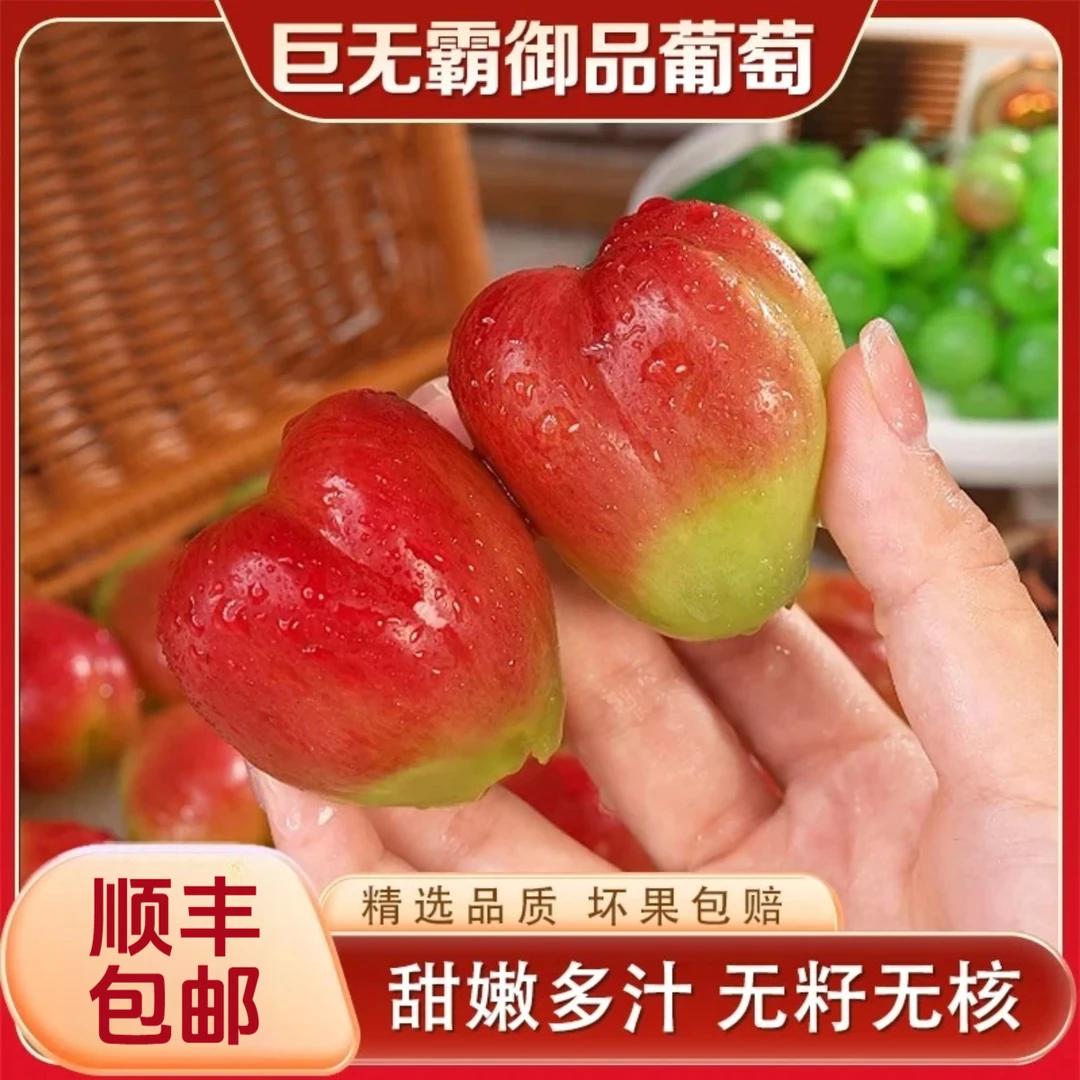 【巨无霸】云南大颗粒新型御品葡萄香甜无核新鲜现摘颗颗精选1斤起