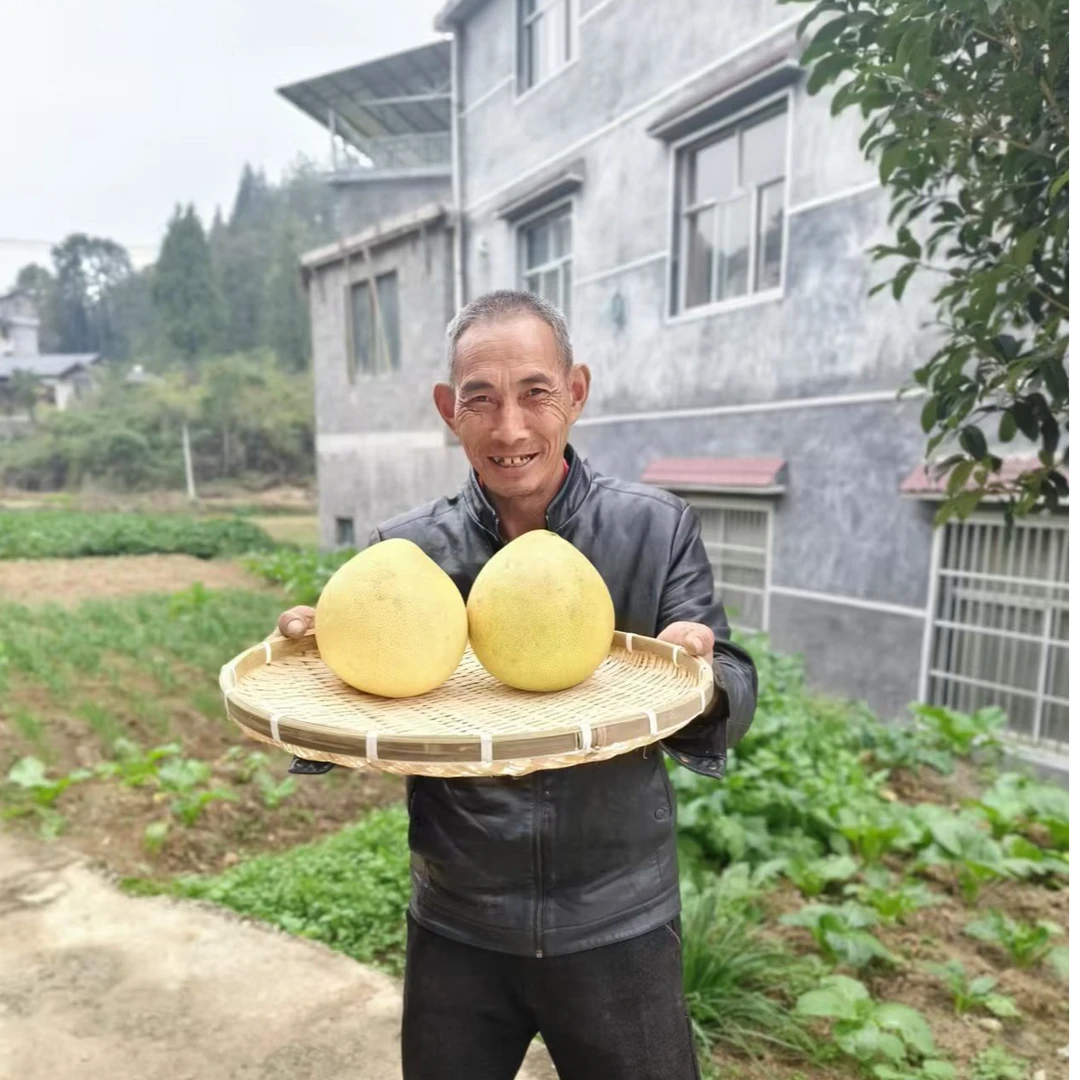 【恩施高山农家柚子】恩施山妹代购农产品
