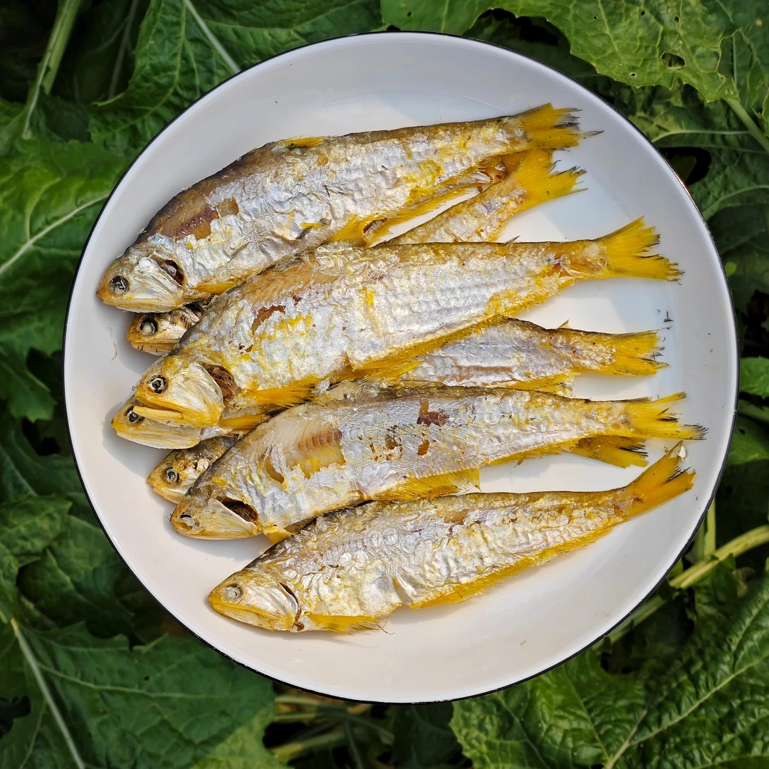 油扣鱼毛扣鱼马口鱼黄鲫鱼半干熟鱼（2斤鲜鱼晒1斤）即食好吃