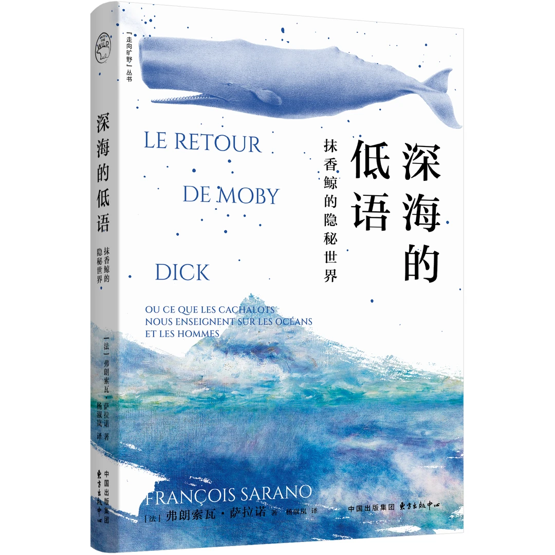 走向旷野 |《深海的低语:抹香鲸的隐秘世界》雅克·拉克鲁瓦奖