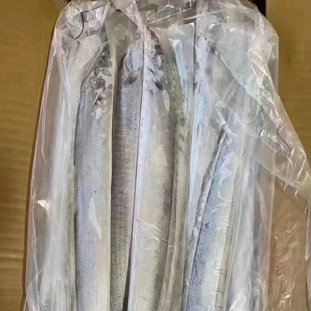 吕四渔港，小头小眼带鱼，吕四带鱼破肚属于正常现象，介意的勿拍