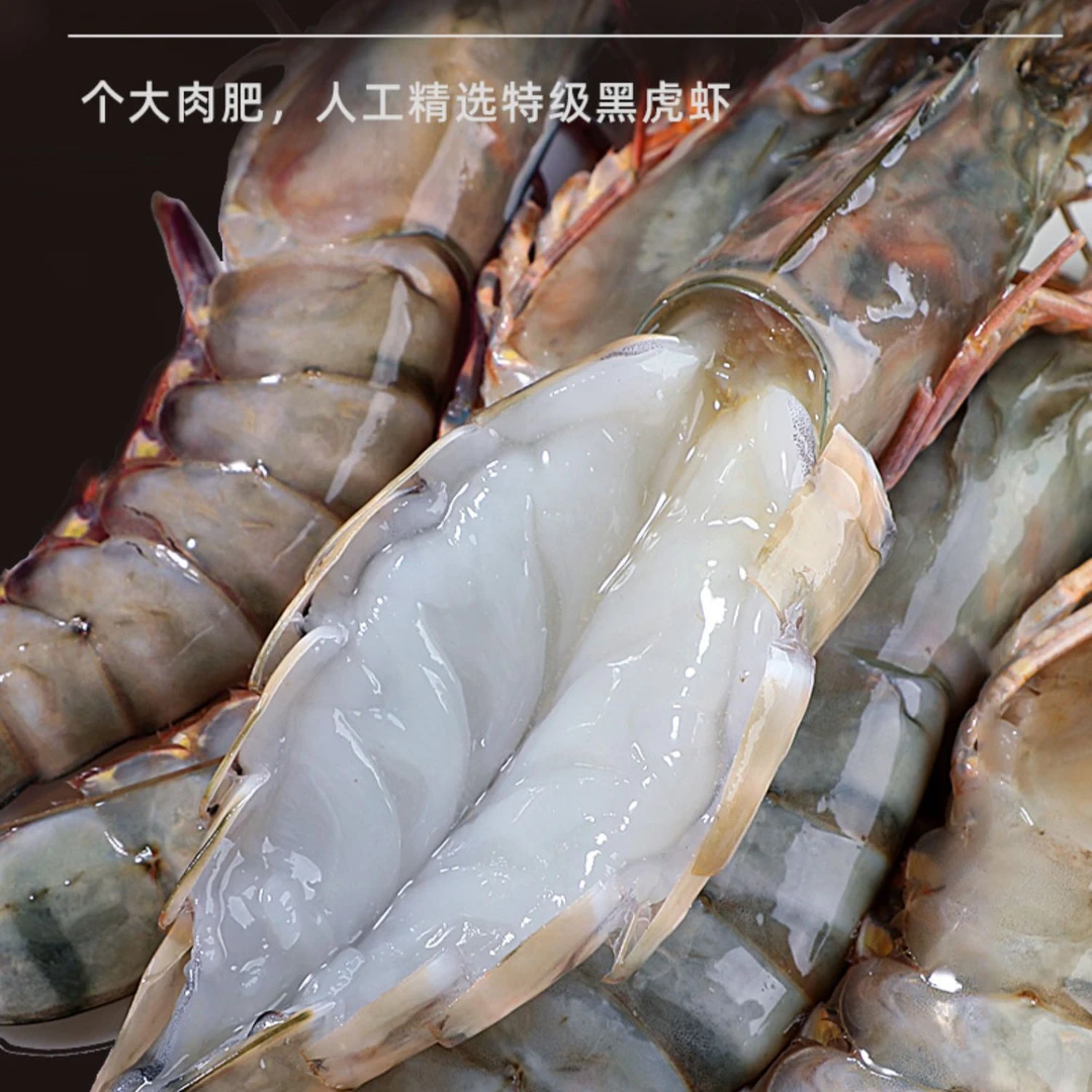 【鑫威澜海】新货野生红虎虾1.6斤新鲜冷冻野生海虾超大个虎虾