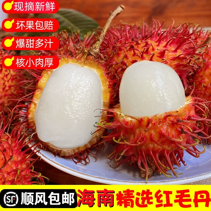 顺丰包邮海南现摘红毛丹精选5斤水果毛荔枝当季果新鲜整箱毛荔枝