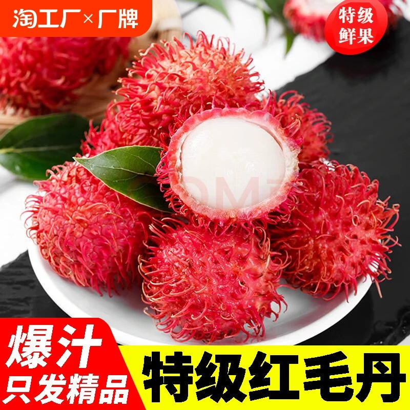红毛丹水果新鲜毛荔枝当季应季热带水果现采现摘顺丰/京东随机发