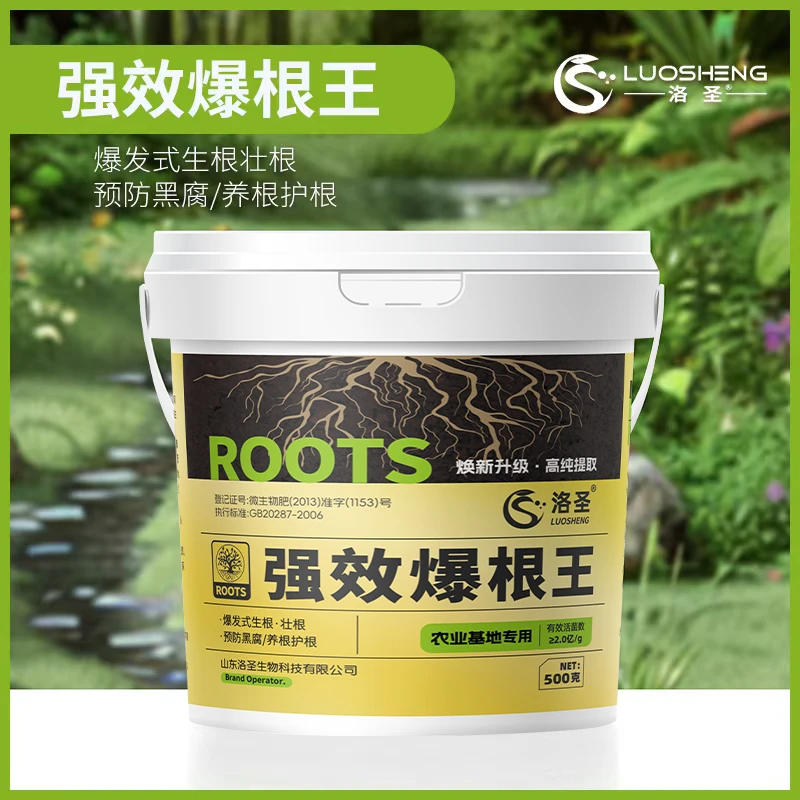 【基地爆根技术】 爆根王微生物菌剂养根爆根壮苗预防烂根