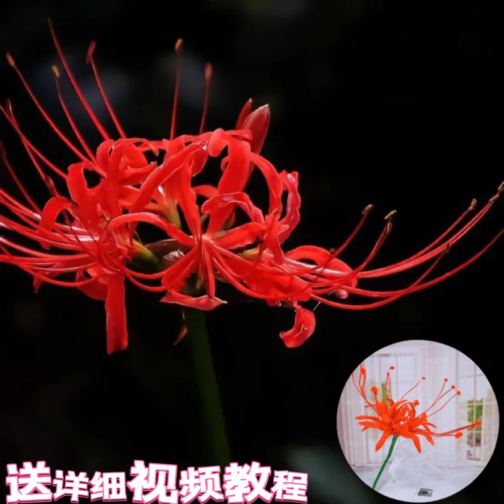 【扭扭棒8朵彼岸花材料包】扭扭棒手工彼岸花diy材料包
