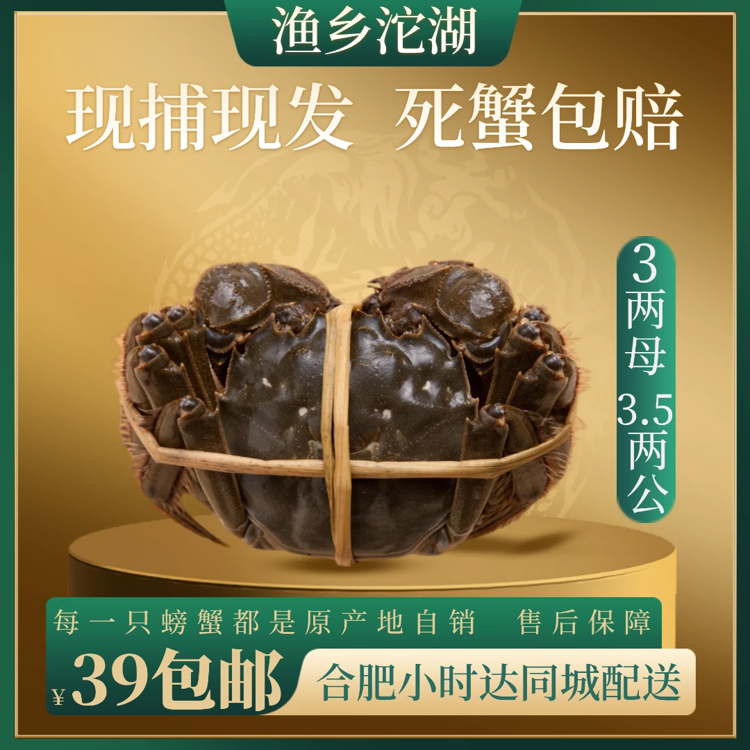 3两母3.5两公 公母搭配  【2.8两-3.2两 3.3两-3.7 两】数量自选  鲜活现发 活蟹现发