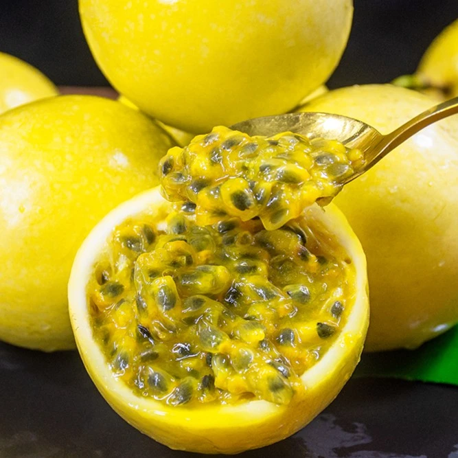 钦密9号黄金百香果当季新鲜水果现摘现货香甜多汁