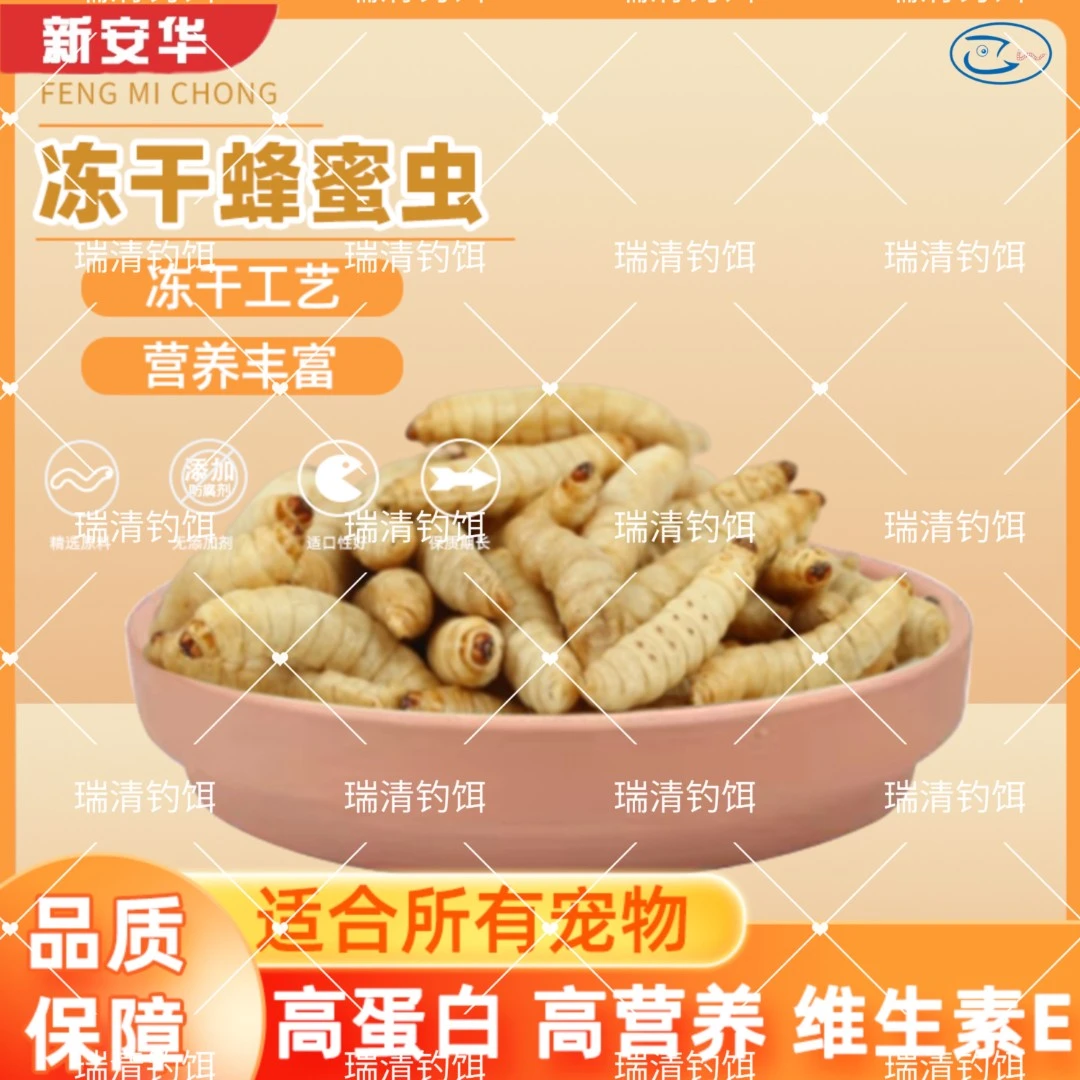 冻干蜂蜜虫玉米虫葡萄虫包邮鸟食蜜袋鼯绣眼仓鼠饲料守宫零食10g