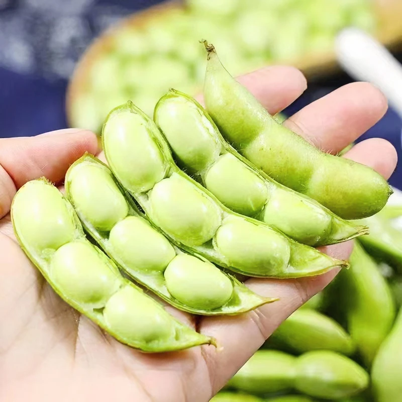 江西农家自种新鲜毛豆现摘当季青豆净重2斤4斤带壳发货【坏烂包赔】