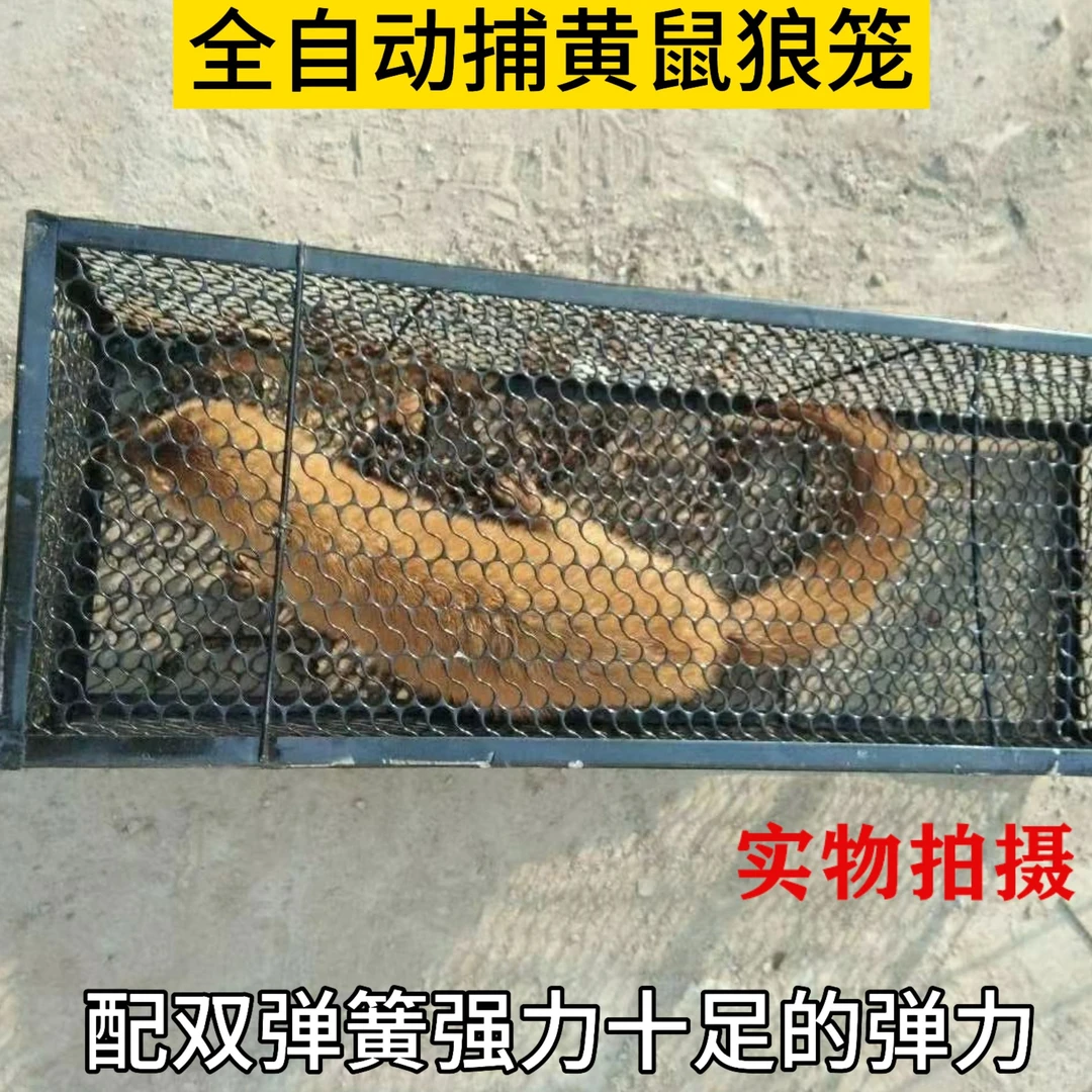 黄鼠狼捕捉器笼户外专业捉猫狗神器超大抓野猫耗子家用夹子逮猫器
