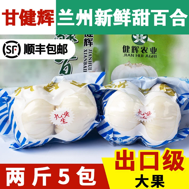 甘健辉兰州百合新鲜百合食用百合两头皇大果当季新挖甘肃特产500g