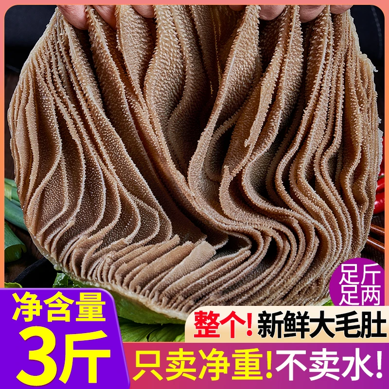 净重3斤装精品牛毛肚新鲜带底板大叶片牛杂千层肚凉拌火锅商用