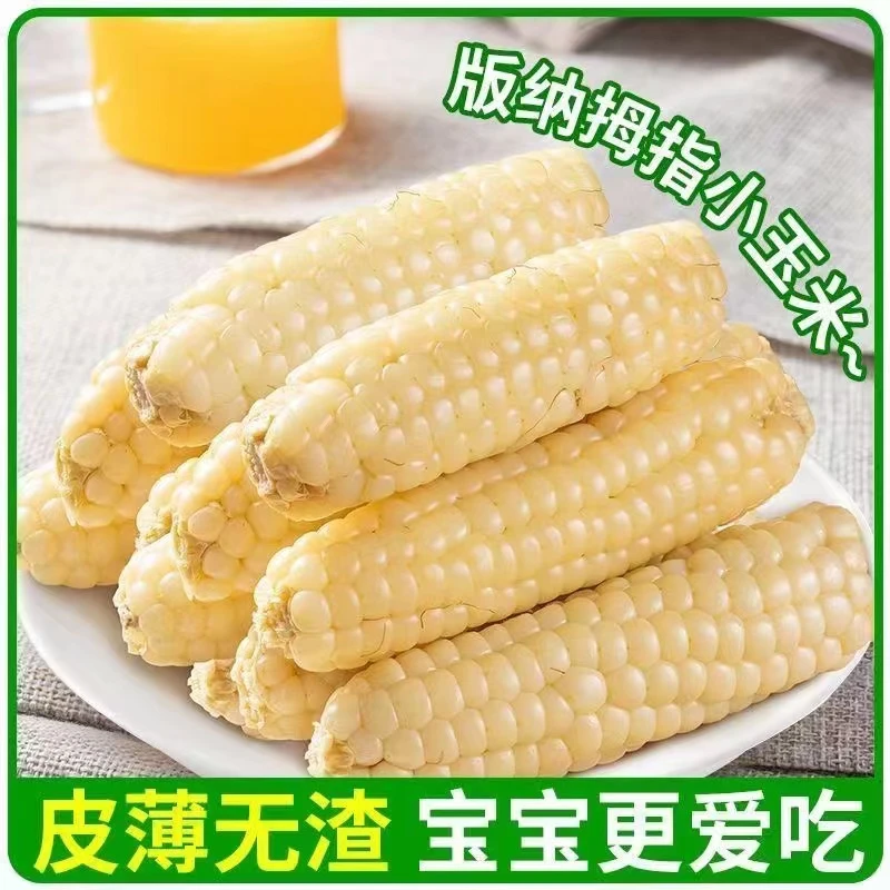 西双版纳A级果小拇指玉米非转基因新鲜香白糯玉米棒孕妇即食500克