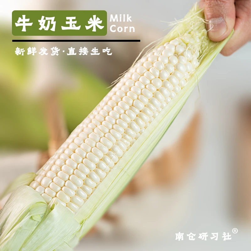 【坏果包赔】北海道牛奶玉米可生吃爆汁牛奶水果玉米开袋即食4斤