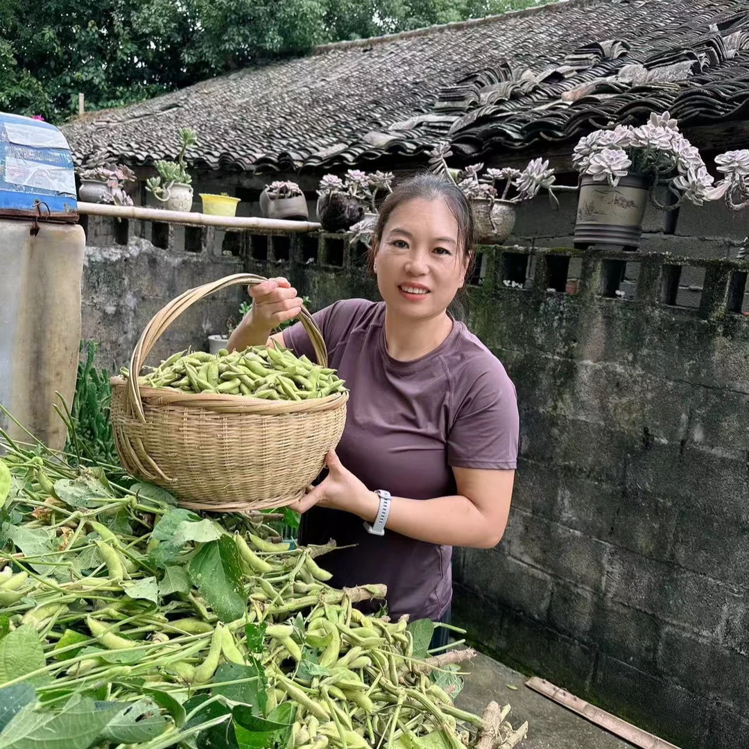 农家新鲜毛豆带壳新鲜现摘现发5斤装