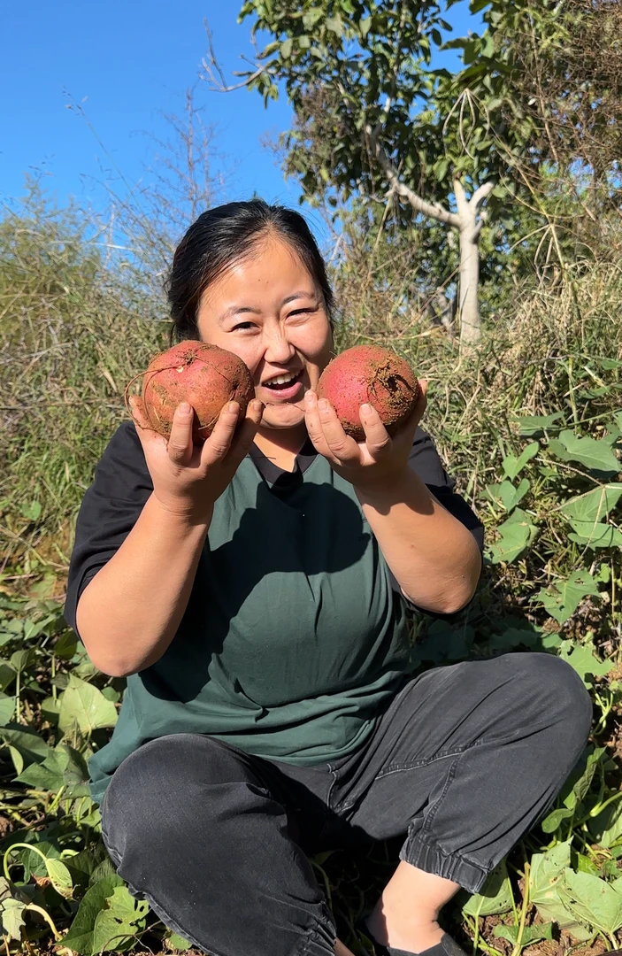 高山沙地好吃红薯新鲜现挖现发软糯粉面甘甜番薯地瓜烤无筋无丝