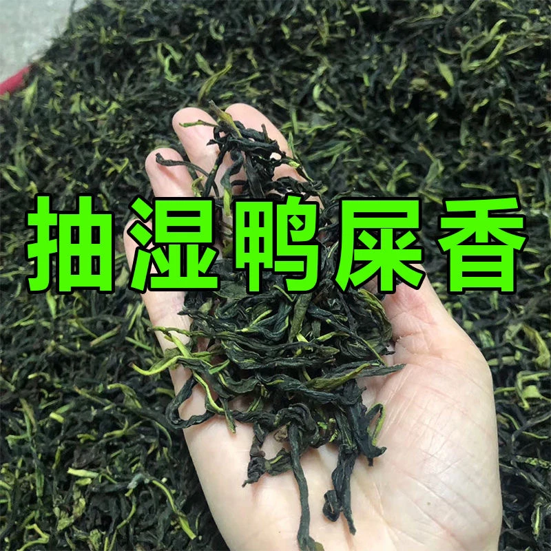 2023年新春茶凤凰单丛茶抽湿鸭屎香