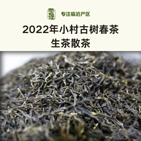 2022年【小村·古树】古树纯料春茶散茶 东半山藤条茶 普洱生茶50克