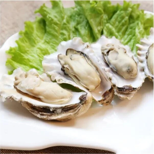 山东烟台发货4.5−5斤生蚝（到货可能缺水开口）渤海湾 生鲜原产